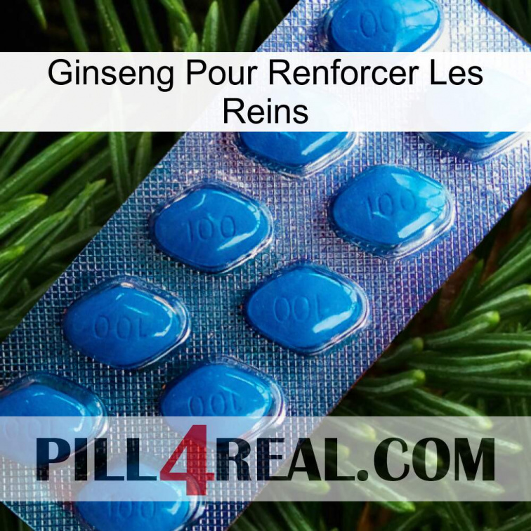 Ginseng For Reinforcing Kidney viagra1